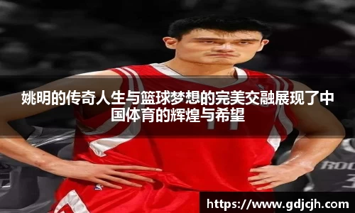 姚明的传奇人生与篮球梦想的完美交融展现了中国体育的辉煌与希望