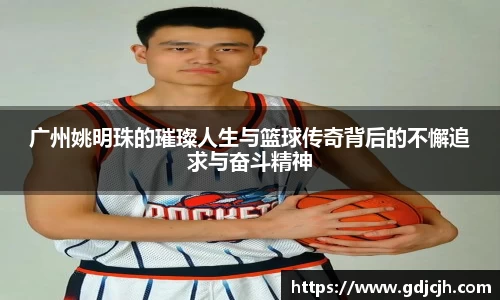 广州姚明珠的璀璨人生与篮球传奇背后的不懈追求与奋斗精神
