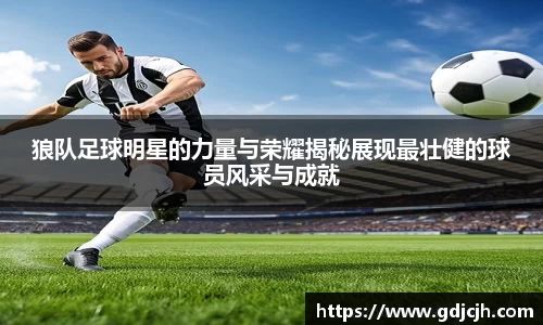 星空·综合体育